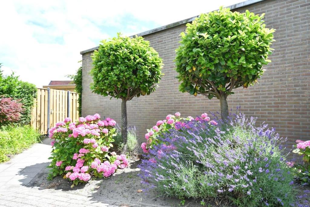 Vrijvakantiehuis Houtenburgseweg 2 Zoutelande Exteriör bild